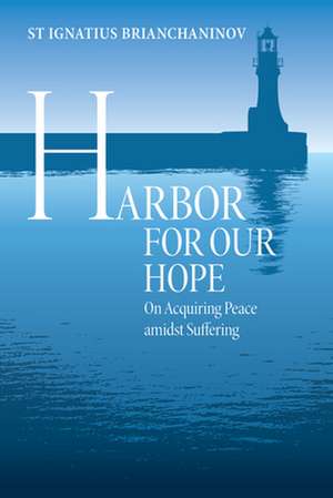 Harbor for Our Hope de Elena Borowski