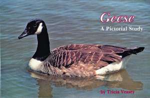 Geese a Pictorial Study de Tricia Veasey