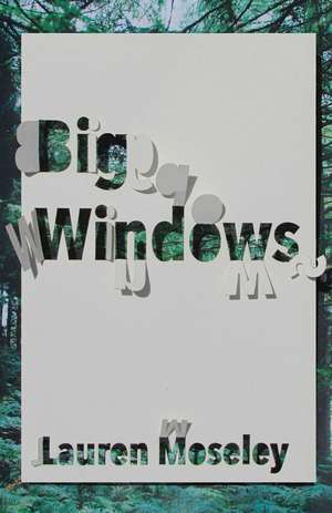 Big Windows de Lauren Moseley