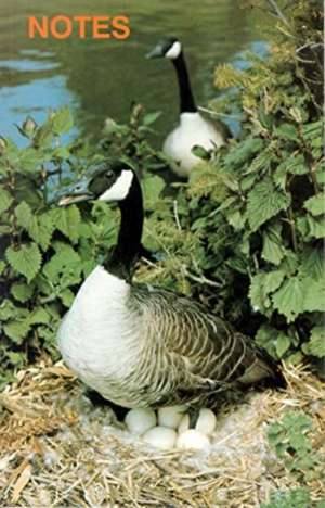 Note Book Canada Geese de David Hancock