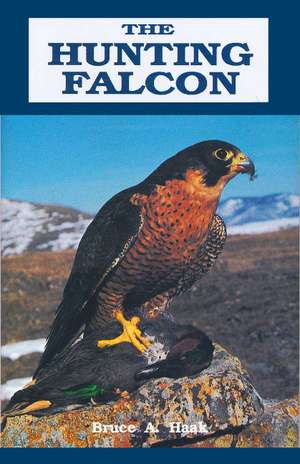 Hunting Falcon de Bruce Haak