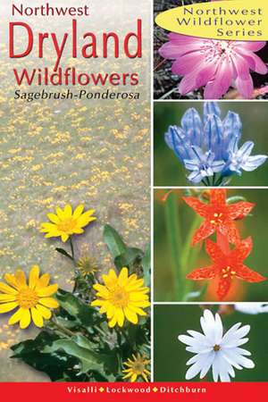 Northwest Dryland Wildflowers: Of the Sagebrush and Ponderosa de Dana Visalli