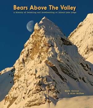 Bears Above the Valley: A History of Catskiing and Snowboarding at Island Lake Lodge de Mark Gallup