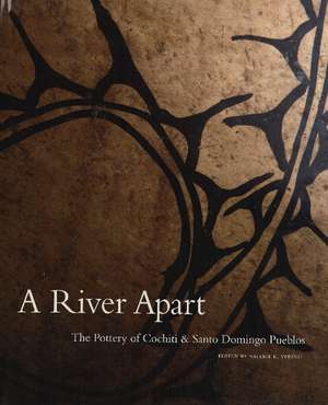 River Apart: The Pottery of Cochiti & Santo Domingo Pueblos de Valerie Verzuh