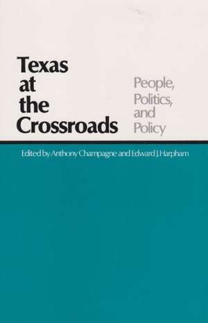 Texas at the Crossroads: People, Politics, and Policy de Anthony Champagne