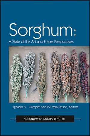 Sorghum – State of the Art and Future Perspectives de I Ciampitti