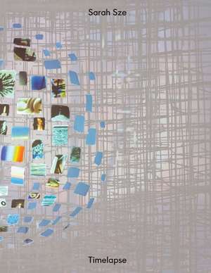 Sarah Sze: Timelapse