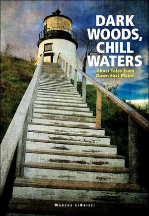 Dark Woods, Chill Waters de Marcus A LiBrizzi