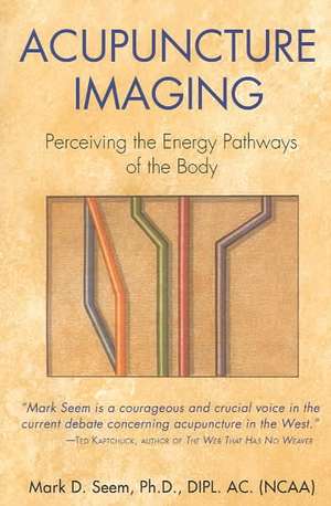 Acupuncture Imaging: Perceiving the Energy Pathways of the Body de Mark D. Seem