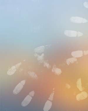 Jaguar Group de Isadora Reisner