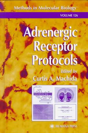 Adrenergic Receptor Protocols de Curtis A. Machida