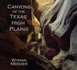 Canyons of the Texas High Plains de Wyman Meinzer