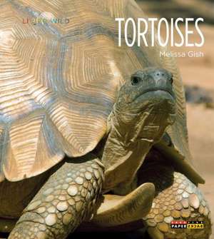 Tortoises de Melissa Gish