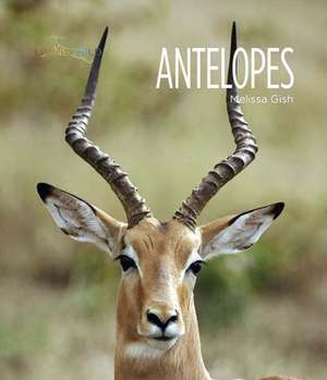 Antelopes de Melissa Gish