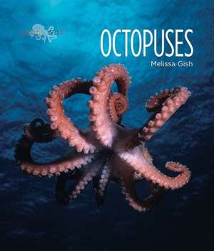 Octopuses de Melissa Gish