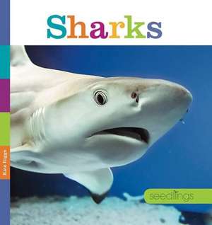 Sharks de Kate Riggs