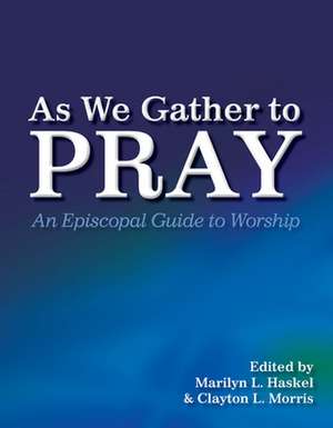 As We Gather to Pray: An Episcopal Guide to Worship de Marilyn L. Haskel