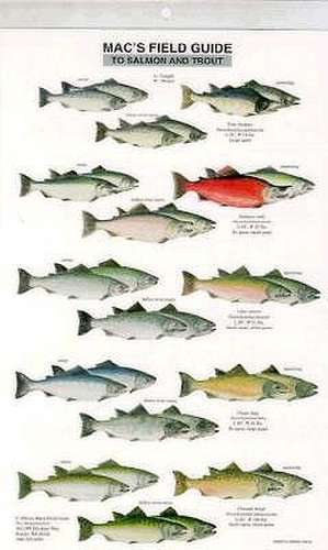 Mac's Field Guide to Trout and Salmon of North America de Craig MacGowan