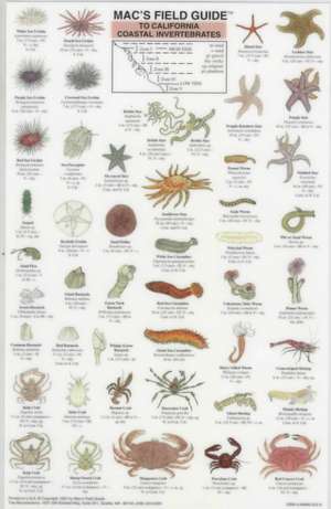 California Coastal Invertebrates de Craig MacGowan