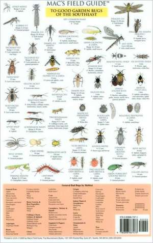 Mac's Field Guide to Southeast Garden Bugs de Craig MacGowan