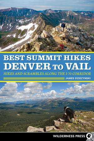 Best Summit Hikes Denver to Vail: Hikes and Scrambles Along the I-70 Corridor de James Dziezynski