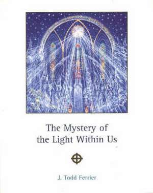 The Mystery of the Light within Us de John Todd Ferrier