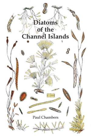 Diatoms of the Channel Islands de Paul Chambers