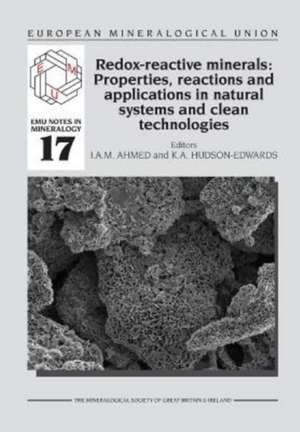 Redox-reactive Minerals: Properties, Reactions and Applications in Clean Technologies de Imad Ahmed