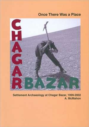 Once There Was a Place: Settlement Archaeology at Chagar Bazar, 1999-2002 de Augusta McMahon