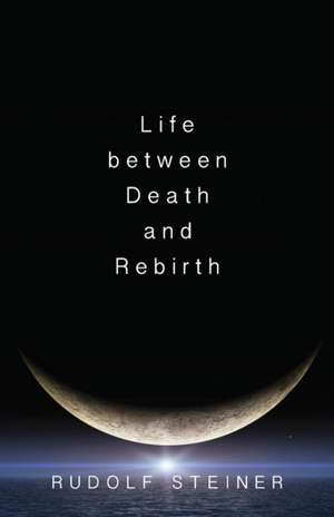 Life Between Death and Rebirth de Rudolf Steiner