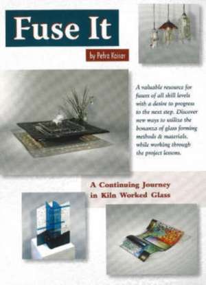 Fuse It: A Continuing Journey in Kiln Worked Glass de Petra Kaiser