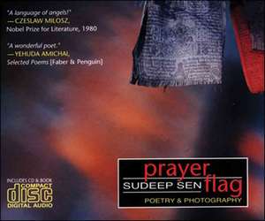 Prayer Flag de Sudeep Sen