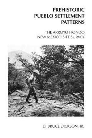 The Arroyo Hondo New Mexico Site Survey: Prehistoric Pueblo Settlement Patterns de D. Bruce Dickson