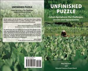 Unfinished Puzzle: The Challenges, Lessons & Opportunities de May Ling Chan