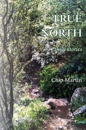 True North: Three Stories de Chip Martin