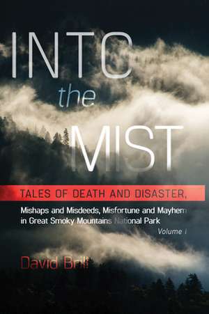 Into the Mist de David Brill