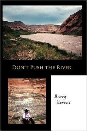 Don't Push the River de Barry Stevens