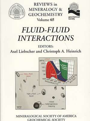 Fluid-Fluid Interactions de Christoph A. Heinrich