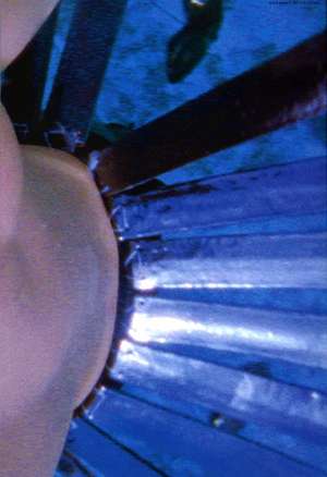 Katy Schimert: The Drowned Man de Lynne Cook