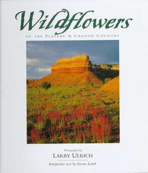 Wildflowers of the Plateau and Canyon Country de Larry Ulrich