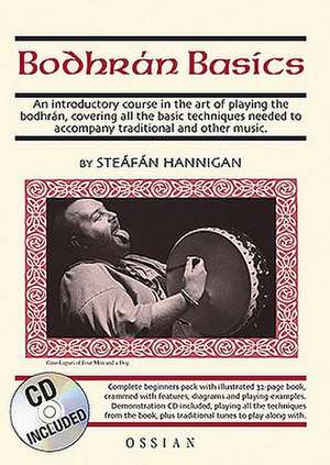 Bodhran Basics: For Pennywhistle de Steafan Hannigan