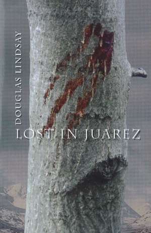 Lost in Juarez de Douglas Lindsay