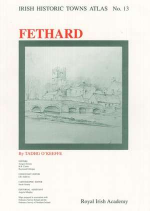 Irish Historic Towns Atlas No. 13: Fethard de Tadhg O'Keeffe