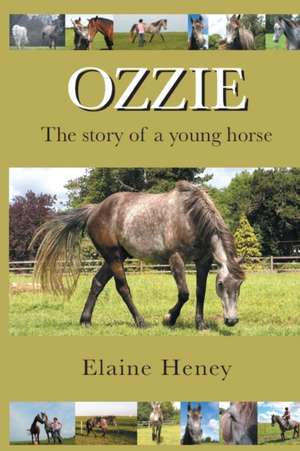 Ozzie - The story of a young horse de Elaine Heney