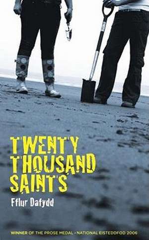 Twenty Thousand Saints de Fflur Dafydd