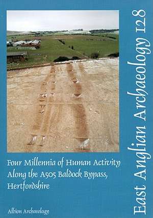 Four Millenia of Human Activity Along the A505 Baldock Bypass, Hertfordshire de Mark Phillips