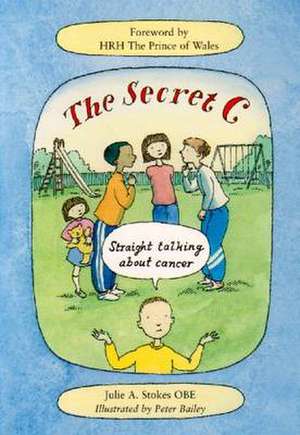 The Secret C de Julie Stokes