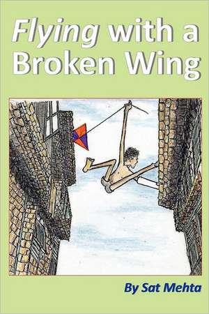 Flying with a Broken Wing de Sat Mehta