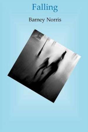 Falling de Barney Norris