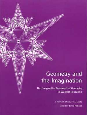 Geometry and the Imagination de A. Renwick Sheen